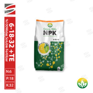 ۶-۱۸-۳۲+۲MgO+AA+TE