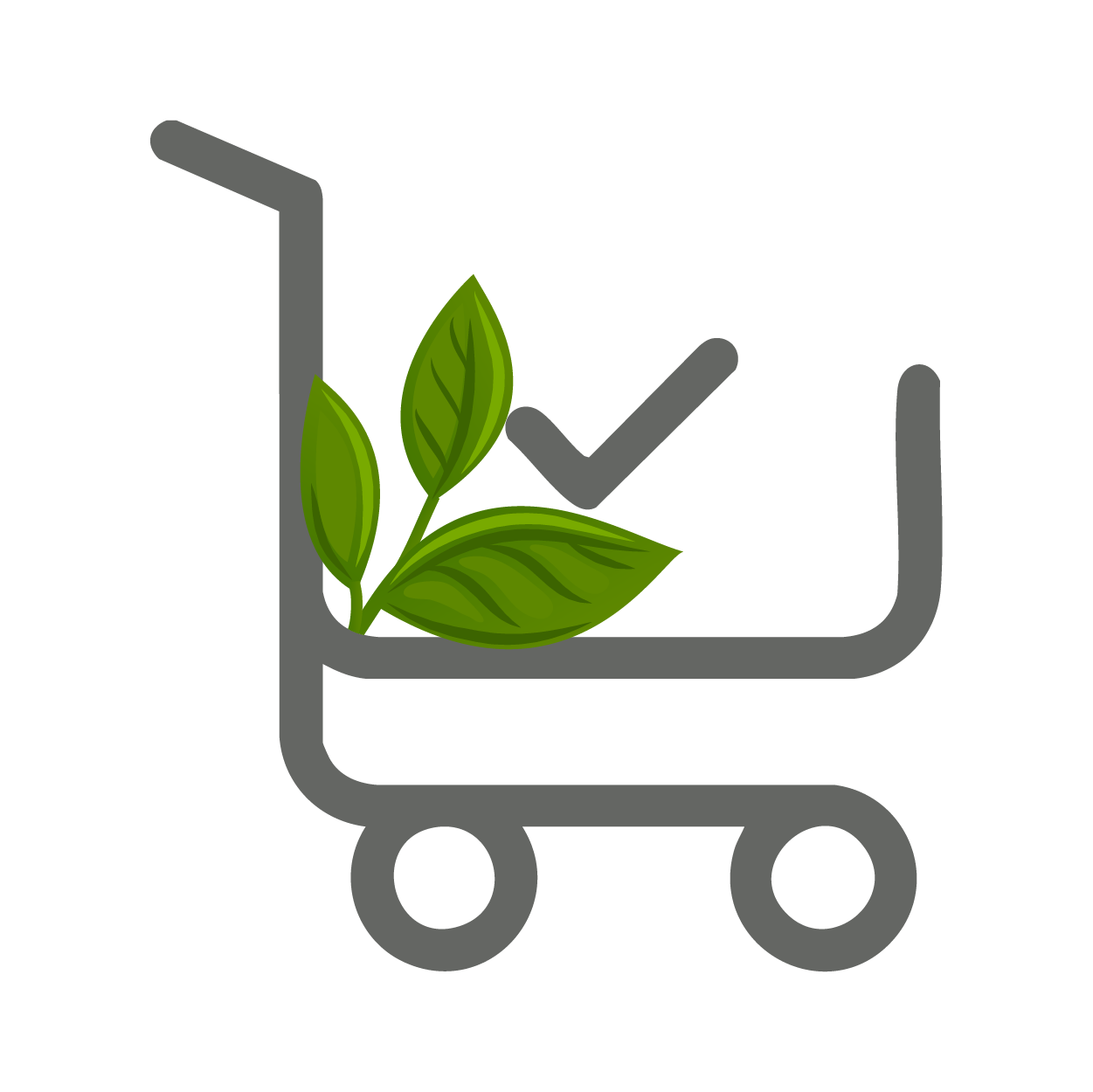 سایت سات شید-03