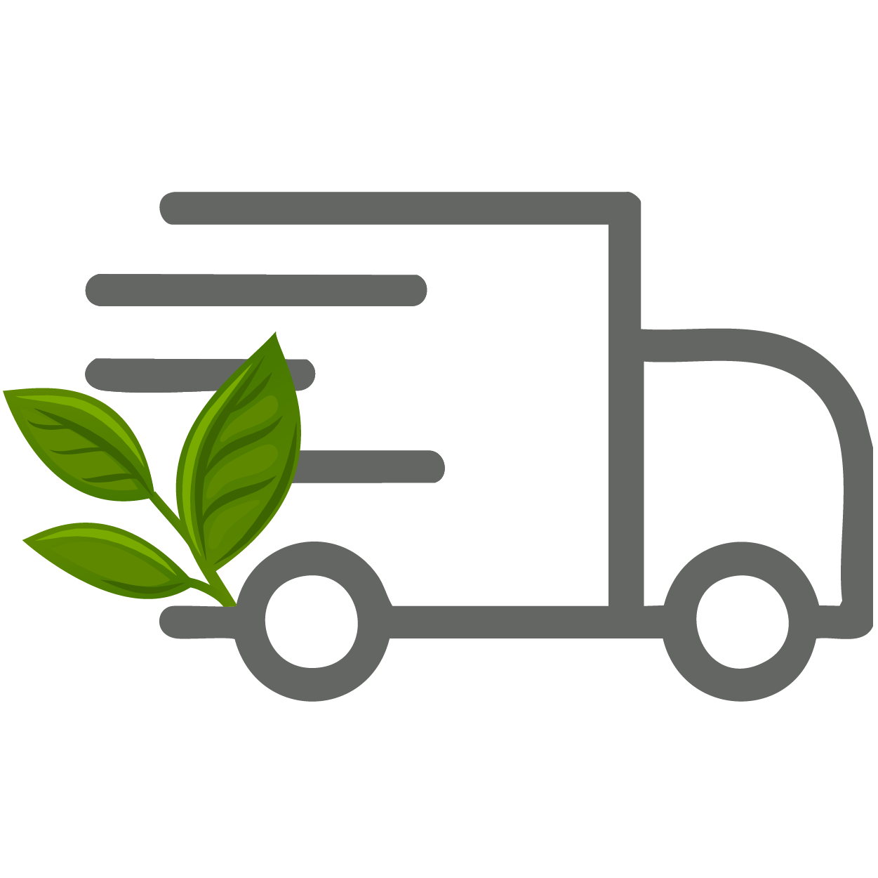 سایت سات شید-05